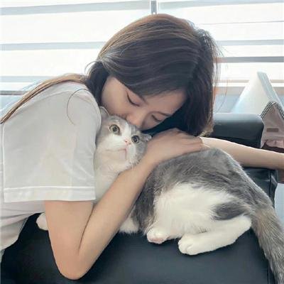 水果篮子第一季